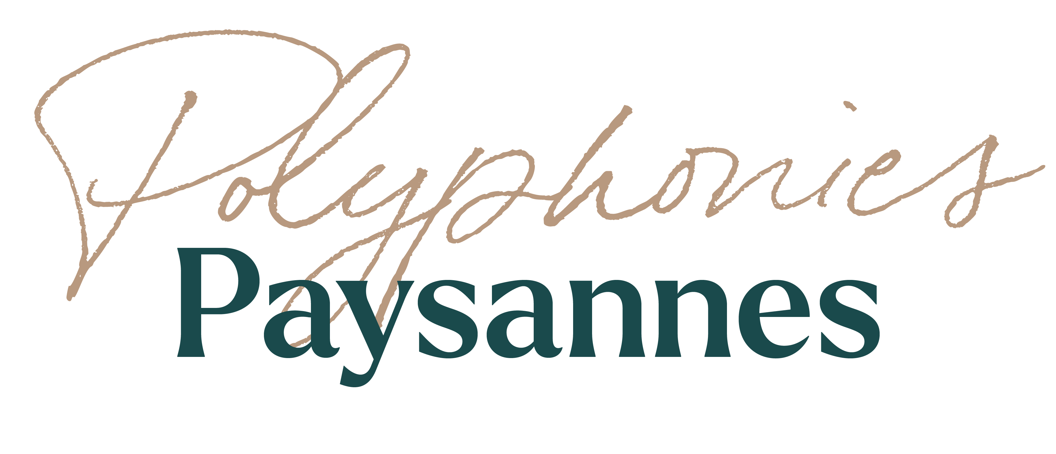 logo Humans of pandemics