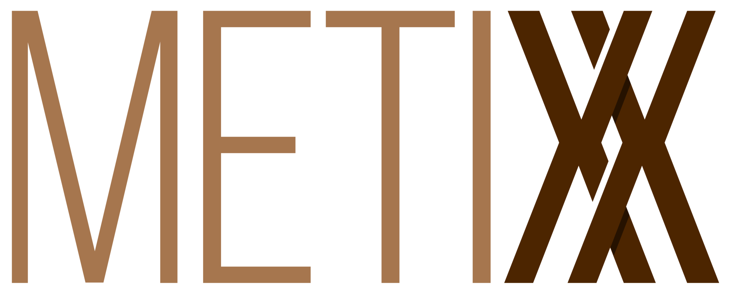 Logo MetiXX